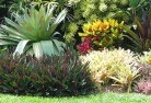 Sippy Downstropical-landscaping-9.jpg; ?>